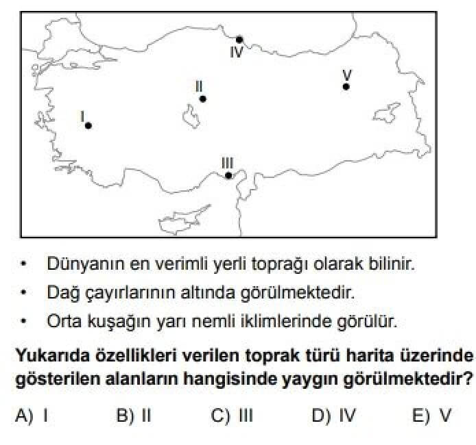 10. Sınıf Coğrafya Test 16 Türkiye’de Toprak Tipleri ve Toprak Kullanımı - Soru 2