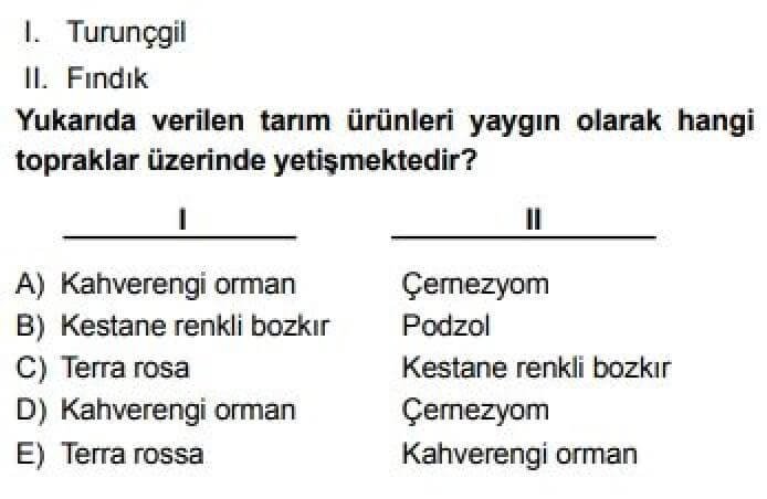 10. Sınıf Coğrafya Test 16 Türkiye’de Toprak Tipleri ve Toprak Kullanımı - Soru 9
