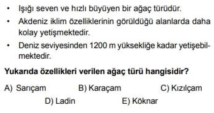10. Sınıf Coğrafya Test 17 Türkiye’nin Bitki Varlığı - Soru 8