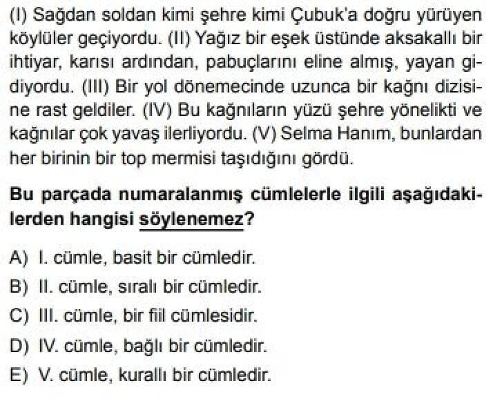 10. Sınıf Türk Dili ve Edebiyatı Test 19 Cümle Türleri – 1 - Soru 10