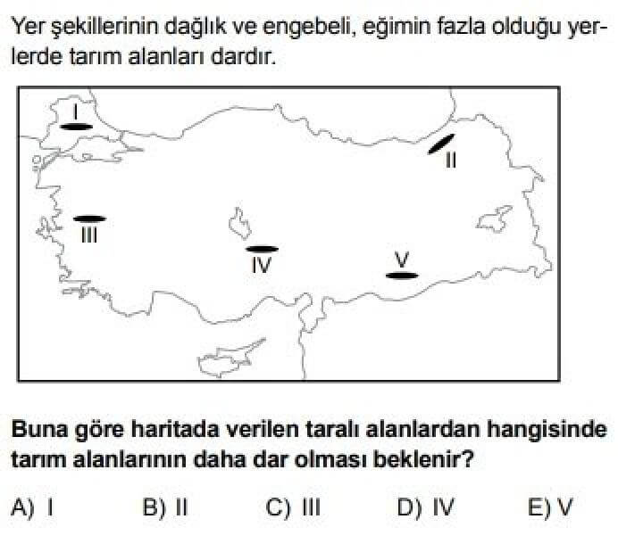 11. Sınıf Coğrafya Test 11 Türkiye’de Tarım - Soru 2