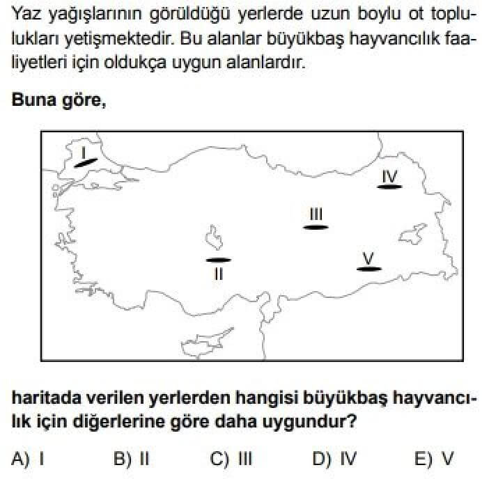 11. Sınıf Coğrafya Test 8 Türkiye’de Arazi Kullanımı - Soru 4