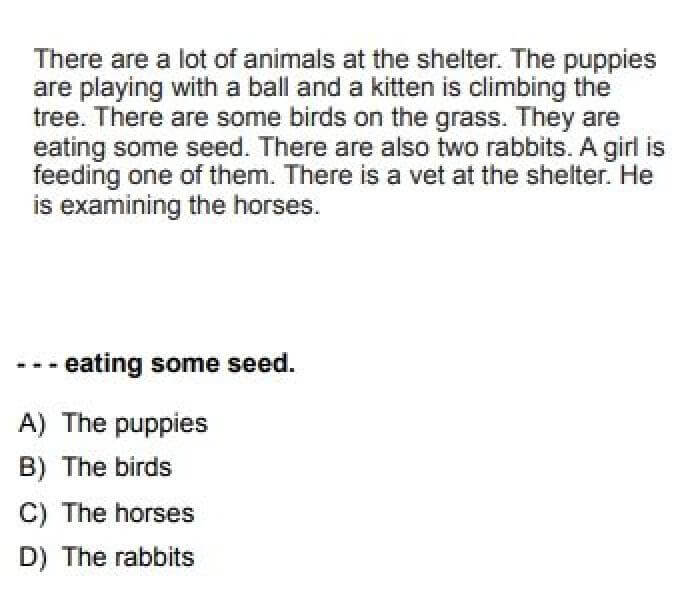 5. Sınıf İngilizce Test 13 The Animal Shelter - Soru 11