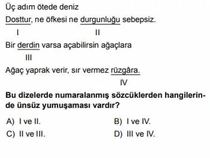 5.Sınıf Türkçe Test 7 Ses Bilgisi - Soru 1