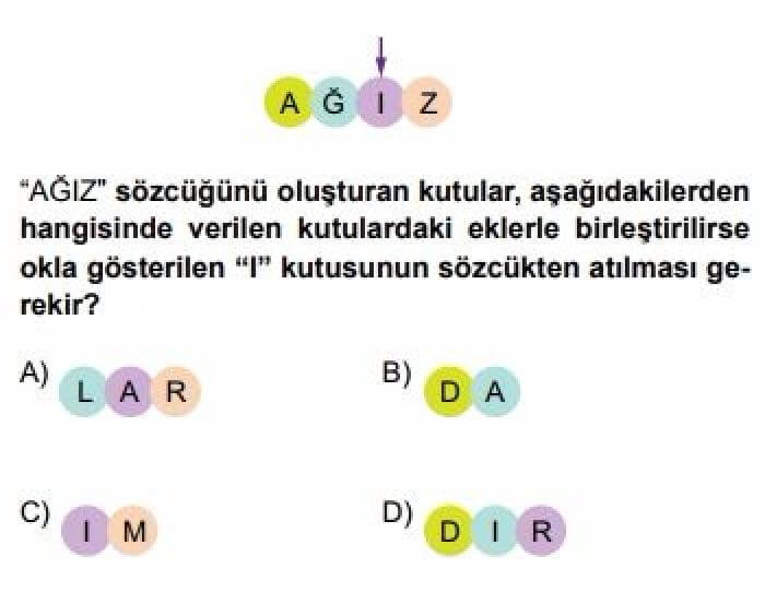 5.Sınıf Türkçe Test 7 Ses Bilgisi - Soru 6