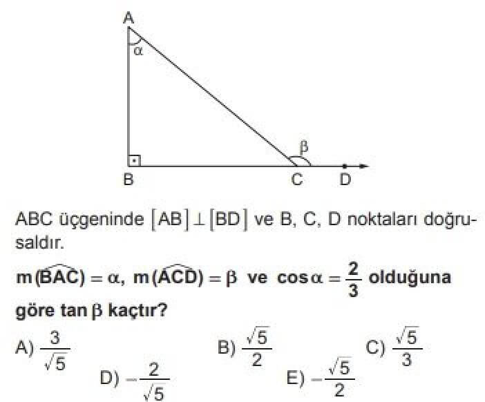9. Sınıf Matematik Test 21 Dik Üçgen ve Trigonometri – 2 - Soru 9