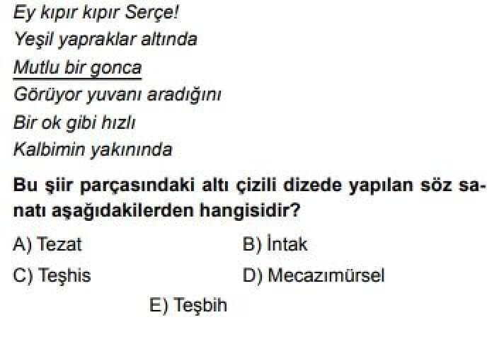 9. Sınıf Türk Dili ve Edebiyatı Test 16 Şiir / Yapı – Dil – İçerik - Soru 7